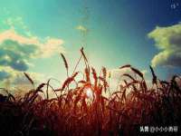 上海伊非网络工作室