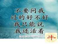 上海伊非网络工作室
