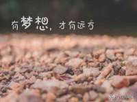 上海伊非网络工作室