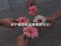 上海伊非网络工作室