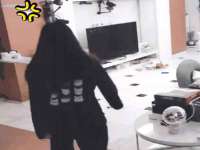 上海伊非网络工作室