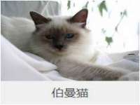 上海伊非网络工作室