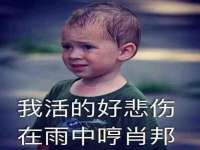上海伊非网络工作室