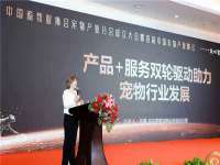 上海伊非网络工作室