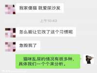 上海伊非网络工作室