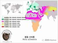 上海伊非网络工作室