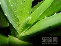 上海伊非网络工作室