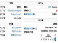 上海伊非网络工作室