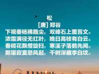 上海伊非网络工作室