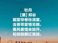 上海伊非网络工作室