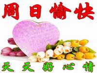 上海伊非网络工作室