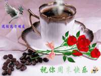 上海伊非网络工作室