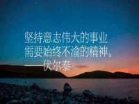 上海伊非网络工作室