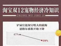 上海伊非网络工作室