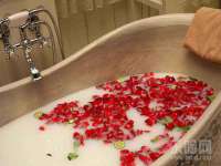 上海伊非网络工作室