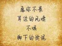 上海伊非网络工作室