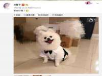 上海伊非网络工作室