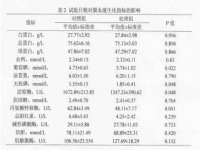 上海伊非网络工作室
