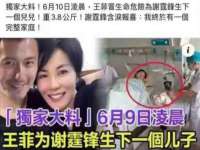 上海伊非网络工作室