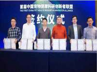 上海伊非网络工作室