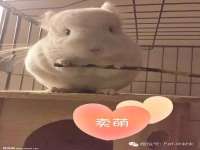 上海伊非网络工作室