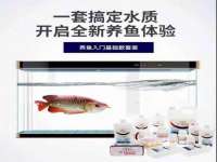 上海伊非网络工作室