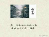 上海伊非网络工作室
