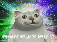 上海伊非网络工作室