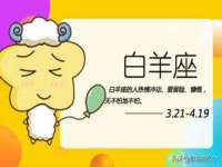 上海伊非网络工作室