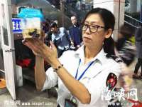 上海伊非网络工作室